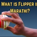 What is Flipper in Marathi